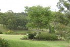 Pipers Brookresidential-landscaping-40.jpg; ?>