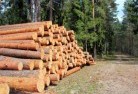 Pipers Brooktree-felling-services-31.jpg; ?>